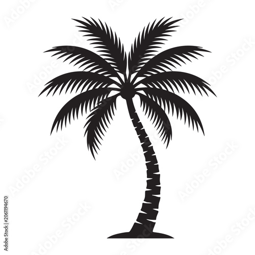 Tropical palm tree silhouette with fronds and textured trunk, black and white vector illustration of beach plant.