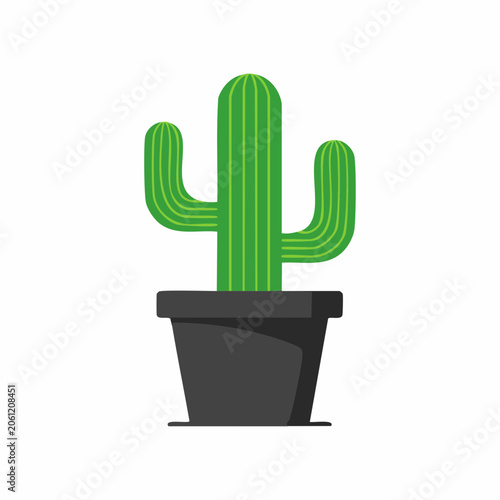 Green Saguaro Cactus in a Black Pot