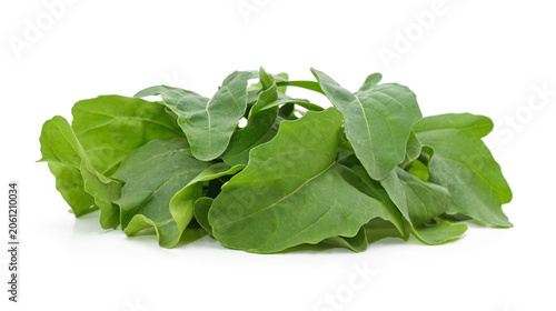 Quadro su tela Fresh green sorrel leaves isolated on a white background.