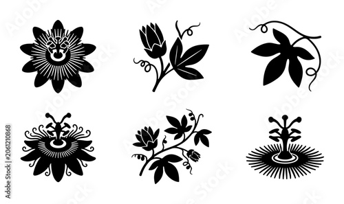 Tableau sur toile Passiflora Flower Vector Icons, Botanical Illustrations, Nature Elements