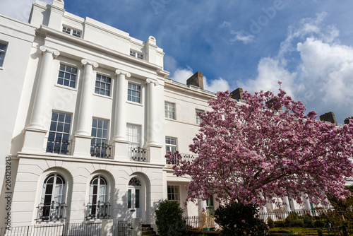 Obraz na plátně The magnificent terrace known as The Crescent, built 1827 to 1831 to the designs of Thomas Ellis Owen, Gosport, Hampshire, UK, with a Magnolia tree in full bloom in the foreground