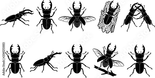 vector can editable Intricate stag beetle silhouettes highlighting formidable mandibles and combat stances