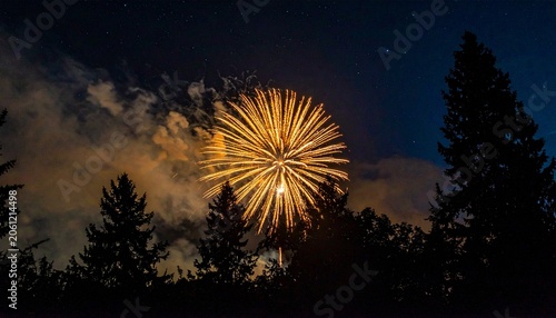 Nighttime Firework Burst with Trees