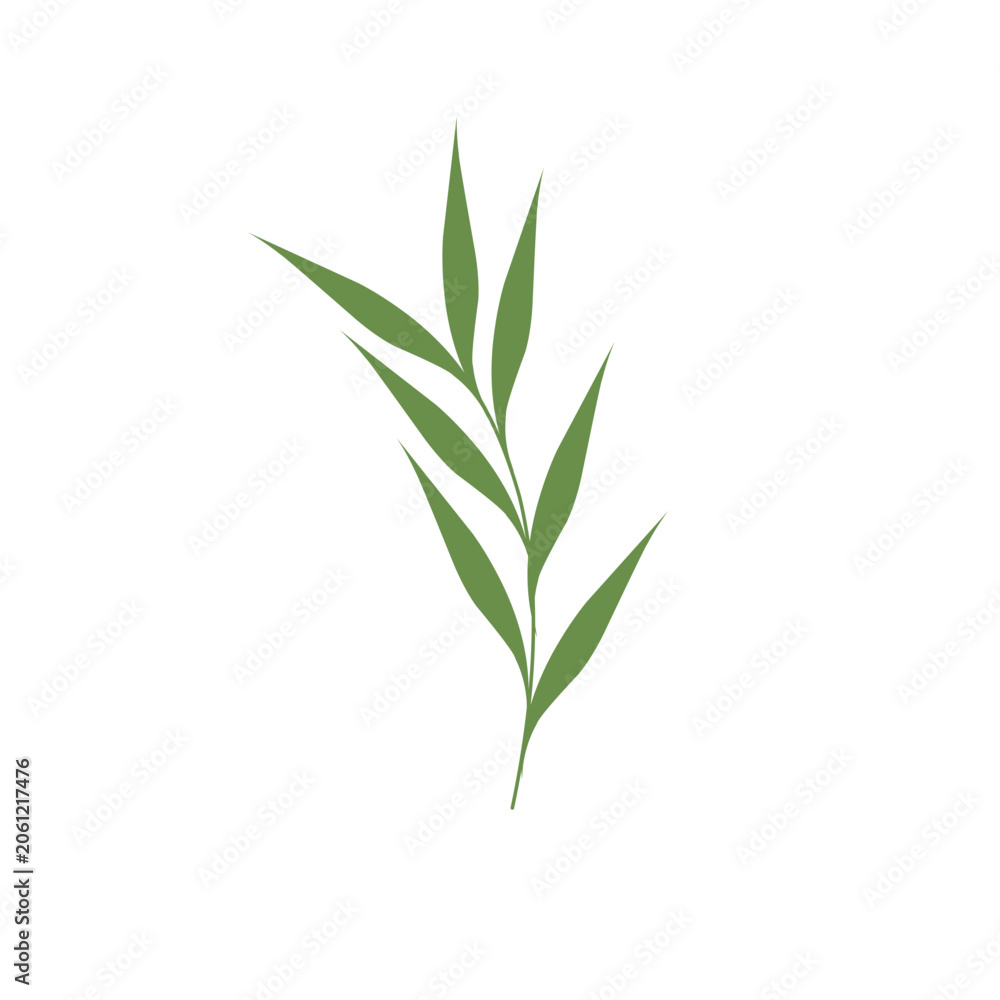 Fototapeta premium Minimalist leaf vector. Minimalist green leaf illustration. Green leaf flat design. Minimalist leaf element. Botanical leaf vector illustration. Simple leaf illustration 