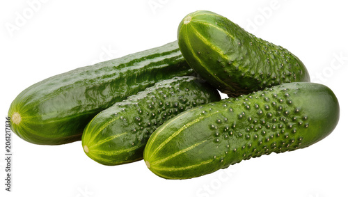 Canvas Print Group of fresh green cucumbers with bumpy texture