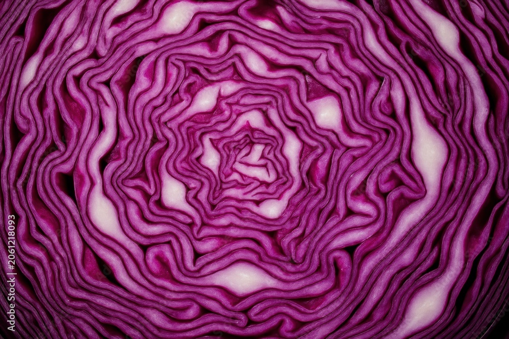 Obraz premium Vibrant Red Cabbage Cross-Section Texture Background