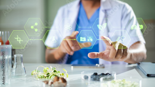 Obraz na plátně A researcher uses a smartphone to analyze food nutrition and biological data with a futuristic digital interface