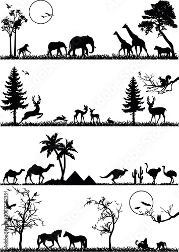 Photography Black silhouette animal icons, wildlife symbols, safari set, 20 vector graphics