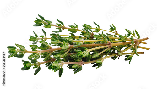 Foto Fresh thyme herb sprigs with small green leaves