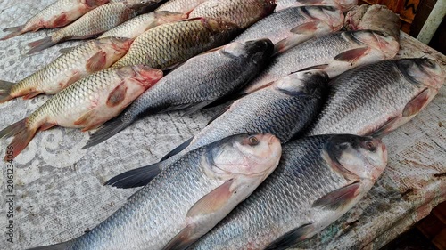 Closeup view of freshwater carp fishes displayed in market showing scales and texture