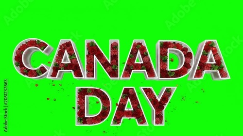 Dynamic Canada Day Typography Featuring Red Petals and Bright Chroma Key