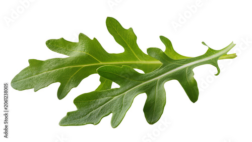 Foto Green arugula leaves with serrated edges