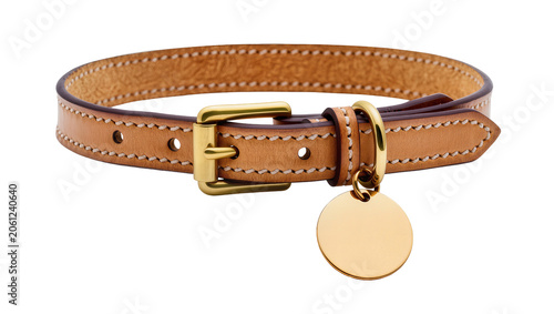 Brown Leather Dog Collar with Brass Buckle and Round Tag