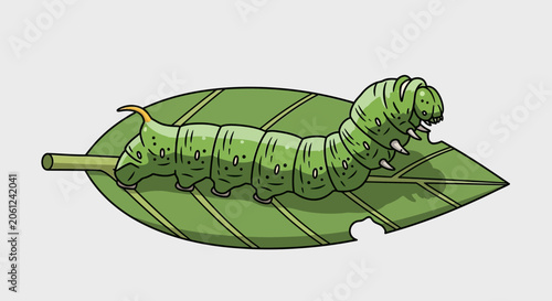Fényképezés Green Caterpillar Eating Leaf, Insect Life Cycle, Nature Illustration