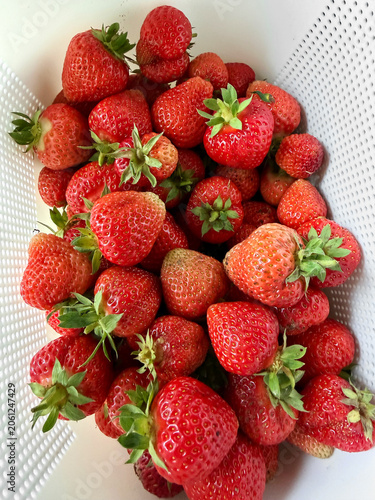 Freshly Picked Strawberries in a White Basket