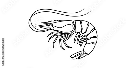 Elegant Continuous One Line Shrimp Vector Illustration Minimalist Seafood Outline Design
