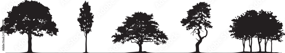 Fototapeta premium Oak tree set. Silhouette vector illustration