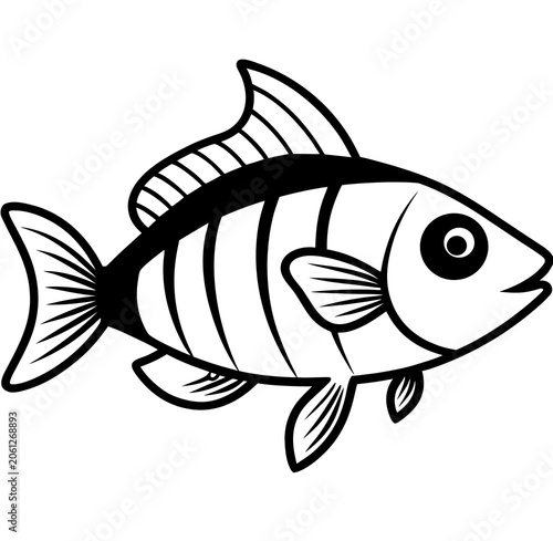 fish on a white background