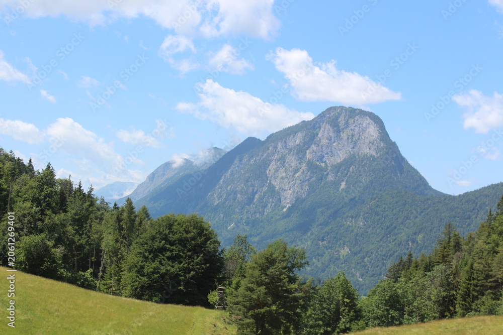 Fototapeta premium Scenic alpine landscape featuring majestic rocky mountains under a blue sky with fluffy clouds, bordered by lush green pine forests and a peaceful grassy meadow in the foreground.