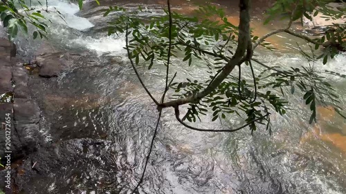 Close-up view of a flowing freshwater stream with a tree branch in the foreground, showcasing natural movement, rippling water, and a tranquil outdoor environment