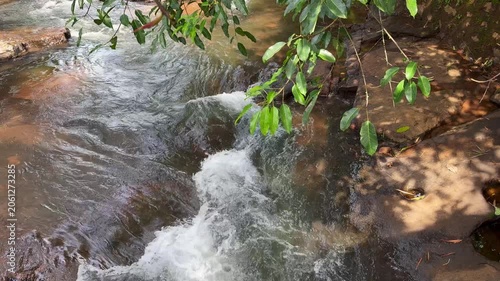 Close-up view of a flowing freshwater stream with a tree branch in the foreground, showcasing natural movement, rippling water, and a tranquil outdoor environment