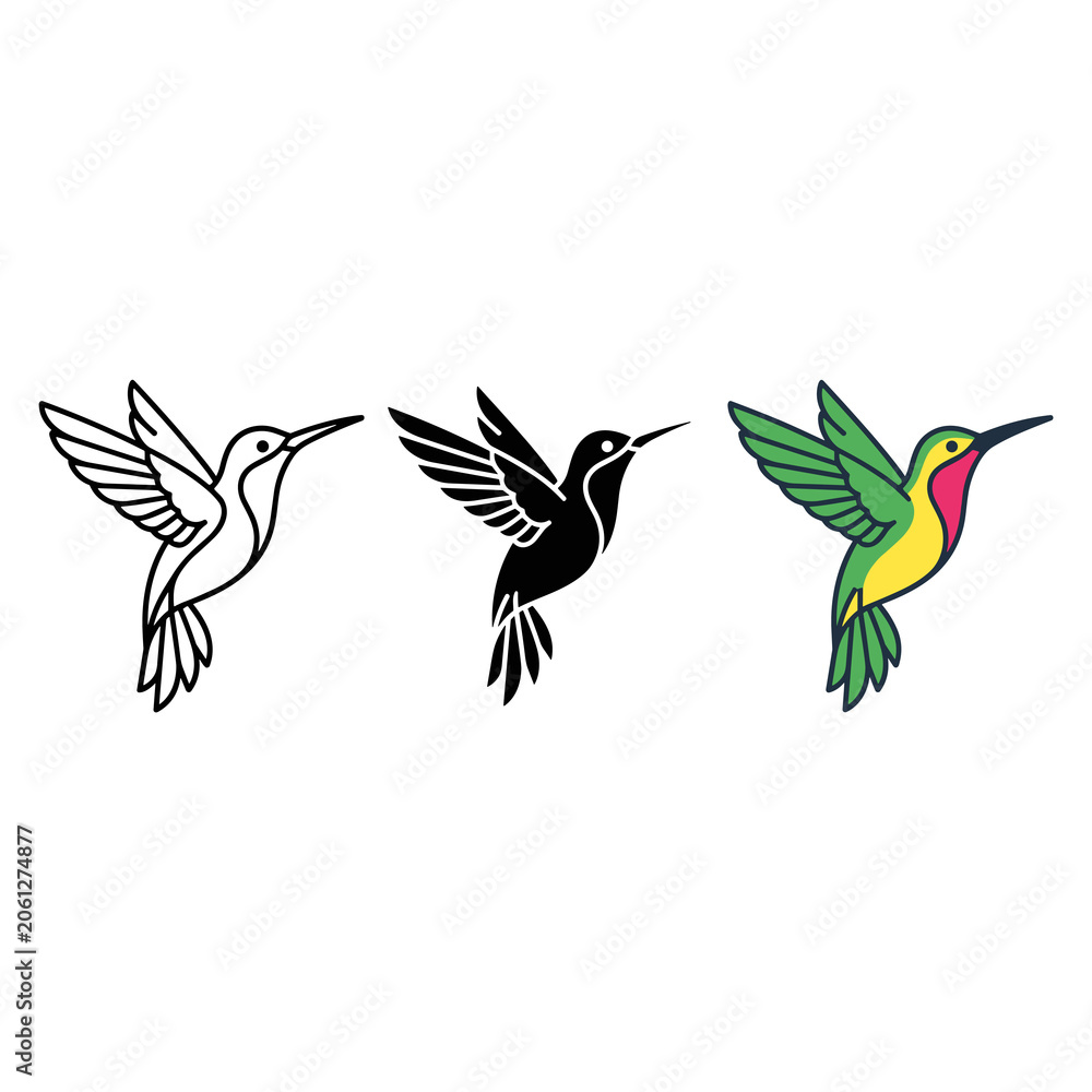 Obraz premium Hummingbird Art Variations