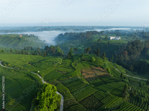 Aerial footage of beautiful tea crop terrace landscape in China
