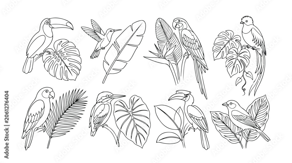 Fototapeta premium Tropical birds and exotic leaves vector set, hand-drawn jungle wildlife illustrations, black and white line art collection for nature-themed designs, 8 unique animal and plant graphics.
