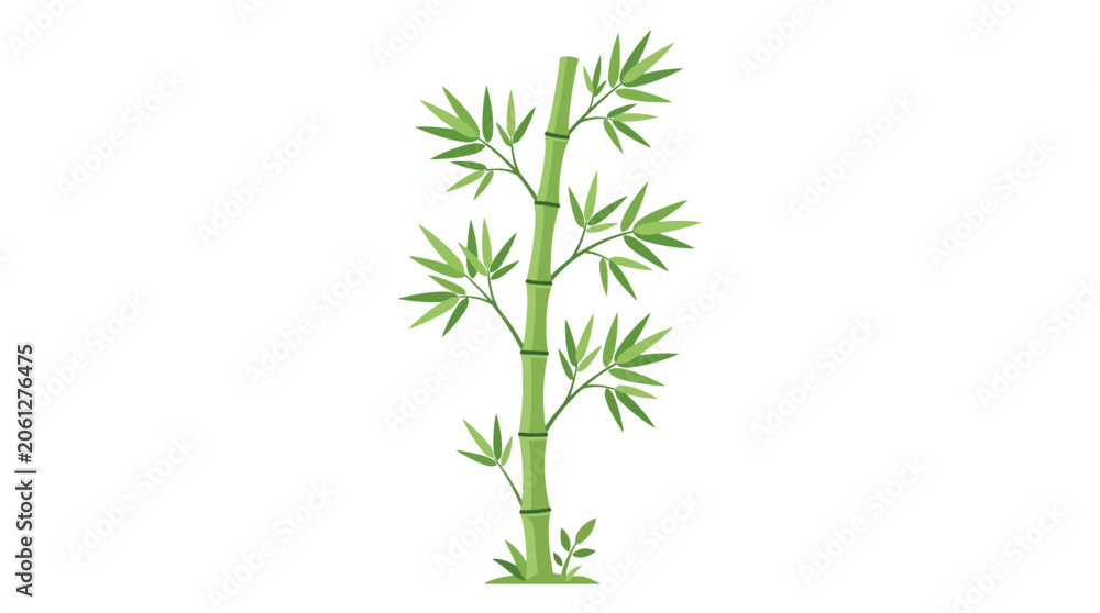 Fototapeta premium Illustration of a single green plant stem with leaves on a white background in a flat graphic style.