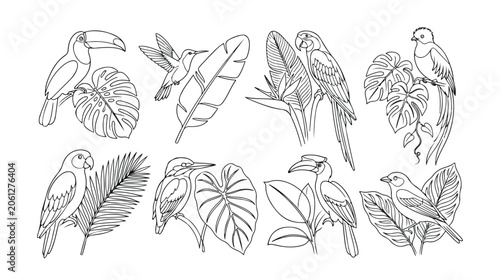 Tropical birds and exotic leaves vector set, hand-drawn jungle wildlife illustrations, black and white line art collection for nature-themed designs, 8 unique animal and plant graphics.