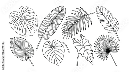 Tropical leaves vector collection, exotic jungle foliage line art, botanical monstera and palm leaf illustrations, hand-drawn summer plant elements for design projects