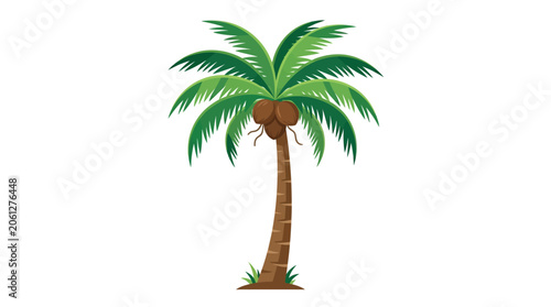 Cuadro en lienzo Illustration of a single palm tree with green leaves on a white background