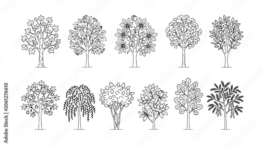 Fototapeta premium Diverse tree outline vector set, 12 unique black and white tree illustrations, natural plant collection for graphic design, botanical elements for nature-themed projects