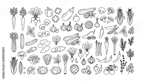 Hand-drawn vegetable icon set, a comprehensive collection of fresh produce illustrations. Organic farm food vector graphics, perfect for healthy eating and cooking designs.