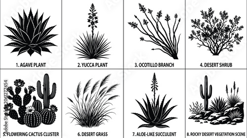 Desert Plant Silhouette Vector Set Featuring Agave Yucca Flowering Cactus Succulents and Rocky Vegetation Scenes
