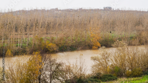 Berges du canal du Midi, en Gironde