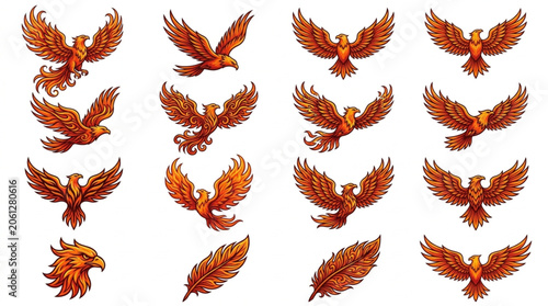 Quadro em tela Phoenix Bird Collection Various Poses and Feather Detail.