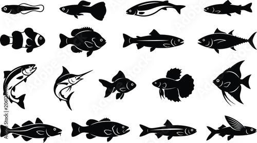 Foto Black and white of various sea animals, fish, and marine life shark