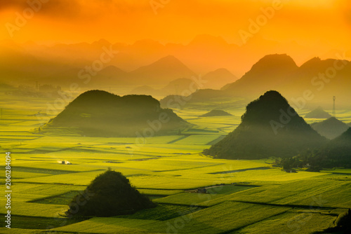 Yellow rapeseed (canola) flower field in spring, Luoping, China
