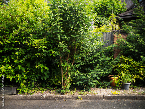 front garden of house