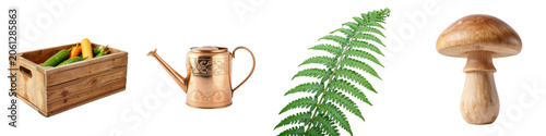 Wooden crate filled with vegetables, watering can, fern, and mushroom  