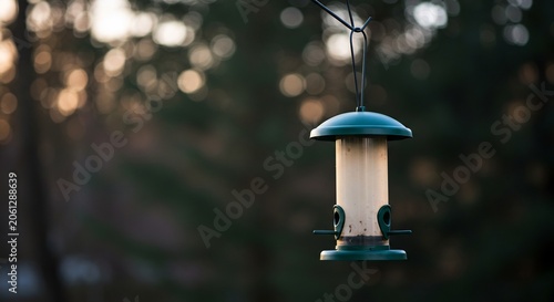 Green bird feeder hanging outdoors bathed in soft golden hour light creating a tranquil bokeh background. AI Generated
