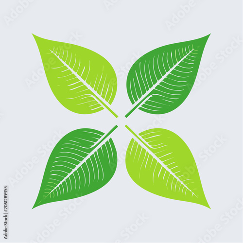 Four Green Leaves Forming a Flower Shape