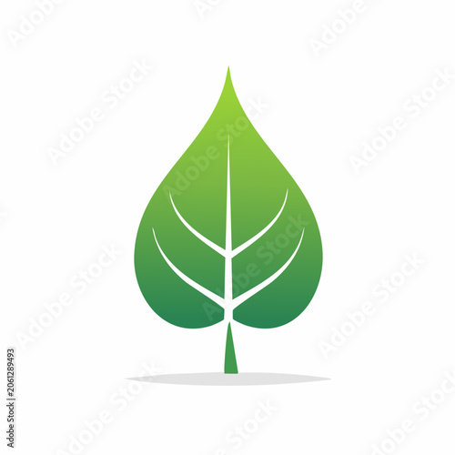 Green leaf logo with veins