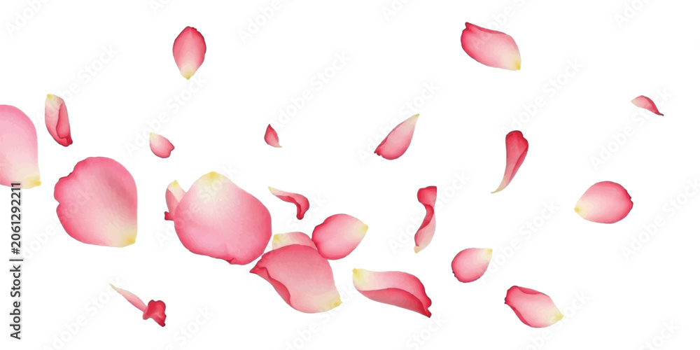 Fototapeta premium Beautiful pink rose flower petals falling and flying in the air