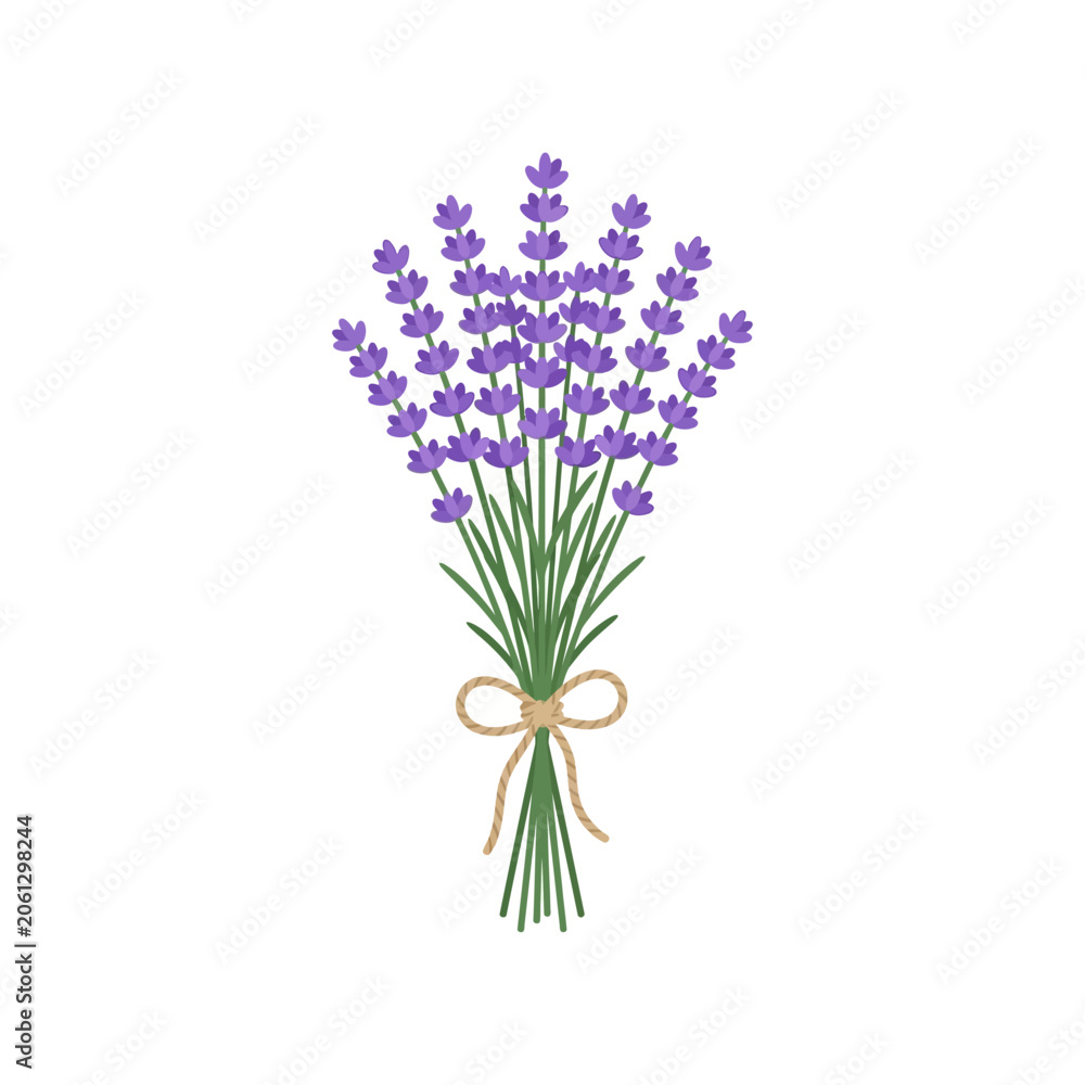 Obraz premium A beautiful bunch of lavender flowers tied with a rustic twine bow on a white background