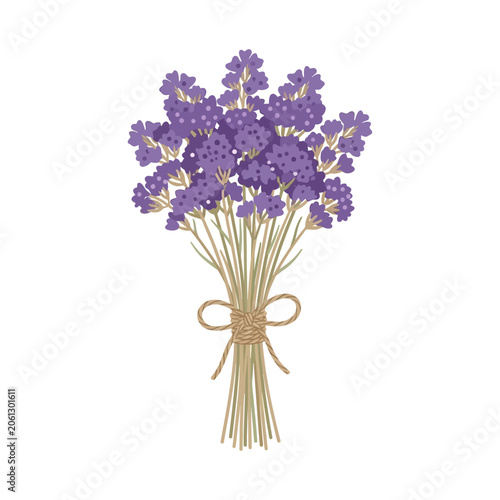 Картината върху платно Hand Drawn Illustration of a Beautiful Lavender Bouquet Tied with a Rustic Twine