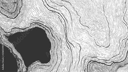 Black and white abstract texture with organic wavy lines and dark irregular shapes pattern