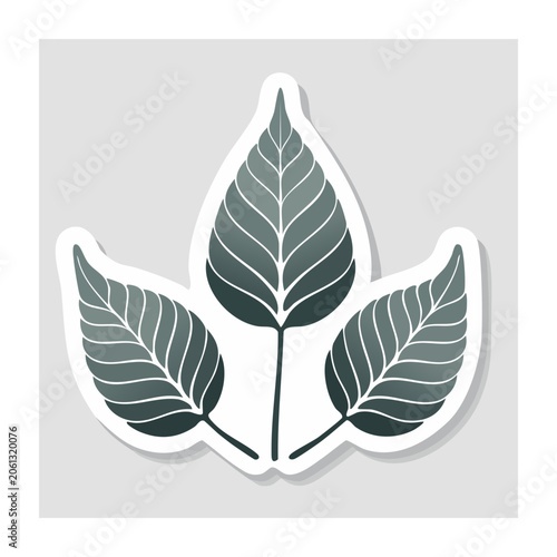 Three stylized leaves in flat design