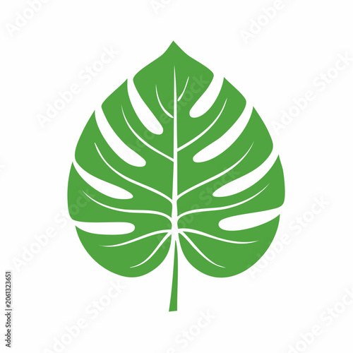 Green Monstera Leaf Icon